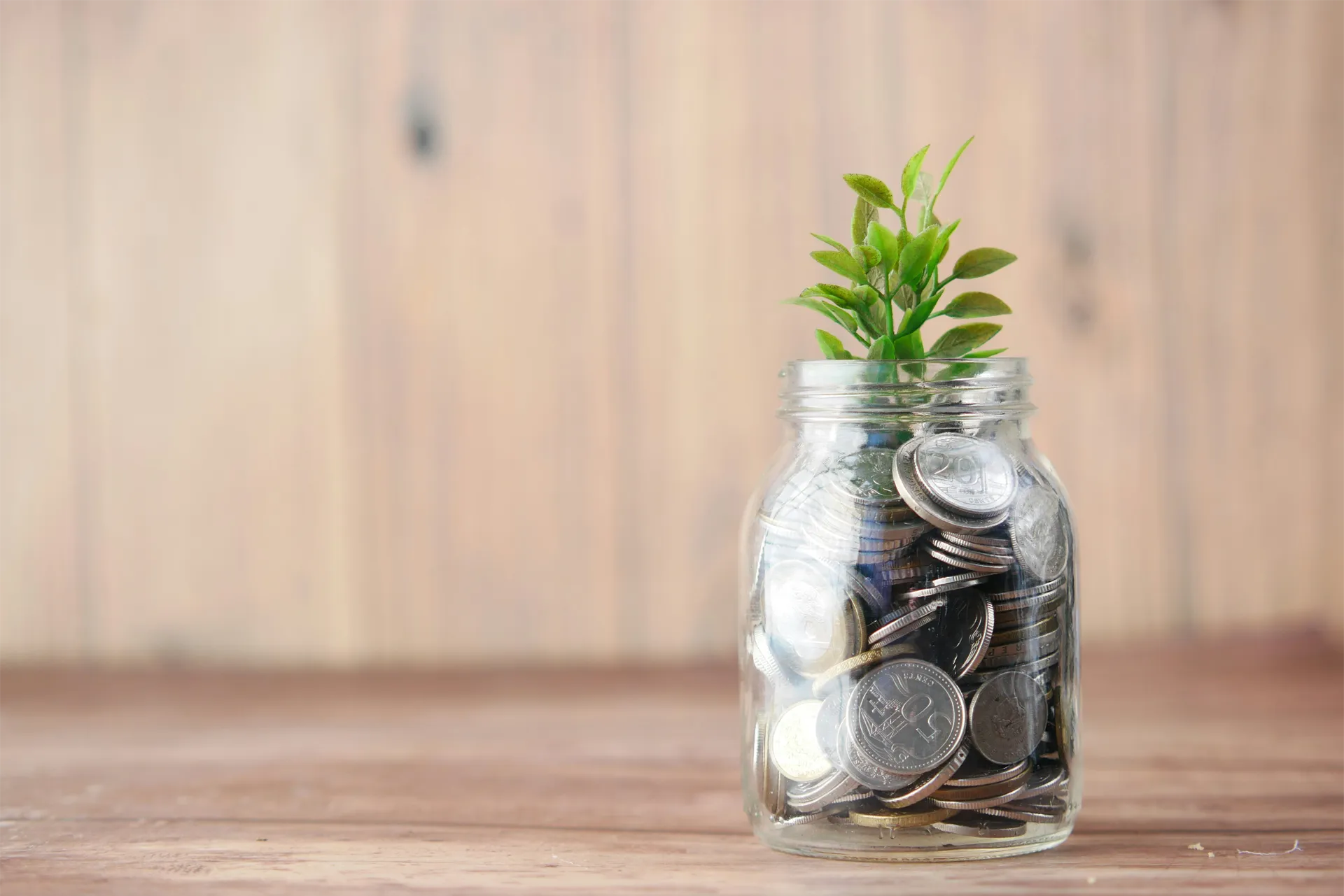 Stake in Shahjalal Islami Bank Ltd.